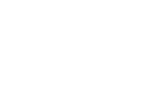 2026_Sponsorship_Logo_aea