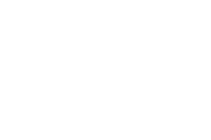 2026_Sponsorship_Logo_airgunnation