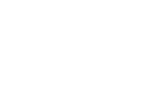 2026_Sponsorship_Logo_macavityarms
