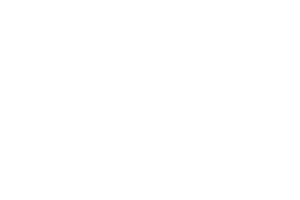 2026_Sponsorship_Logo_pulsar