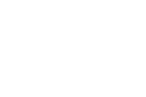 2026_Sponsorship_Logo_vectronix