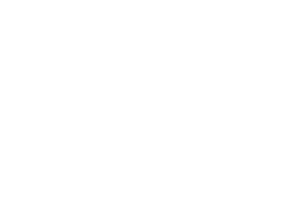 2026_Sponsorship_Logo_Bintac