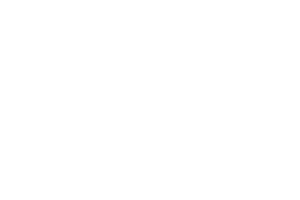 2026_Sponsorship_Logo_American Airgunner